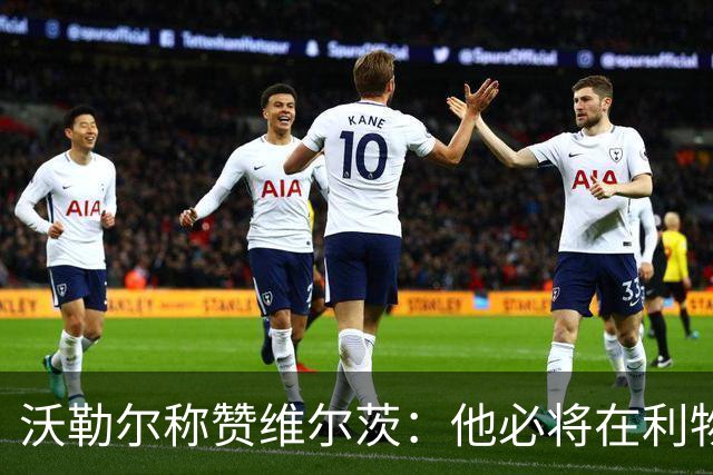 沃勒尔称赞维尔茨：他必将在利物浦与德国队大展拳脚